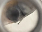 Audio-Technica AT150E Cartridge w/ Original Stylus Tested Clean Japan