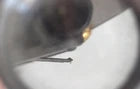 Audio-Technica AT150E Cartridge w/ Original Stylus Tested Clean Japan